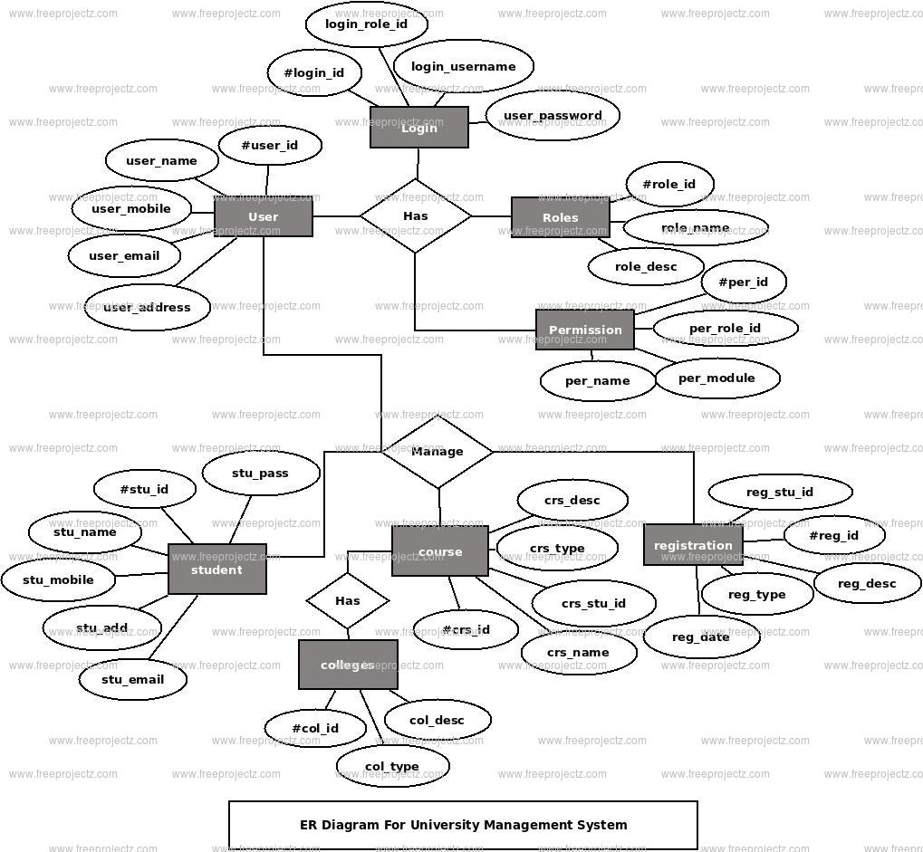 Er Diagram For University Management System In Dbms University Poin